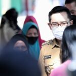 WhatsApp-Image-2022-04-13-at-14.03.23-800x445