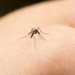 020f47bb-4699-48ff-b575-bba19425dfa5_169