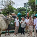 WhatsApp Image 2023-06-29 at 19.29.55(1)