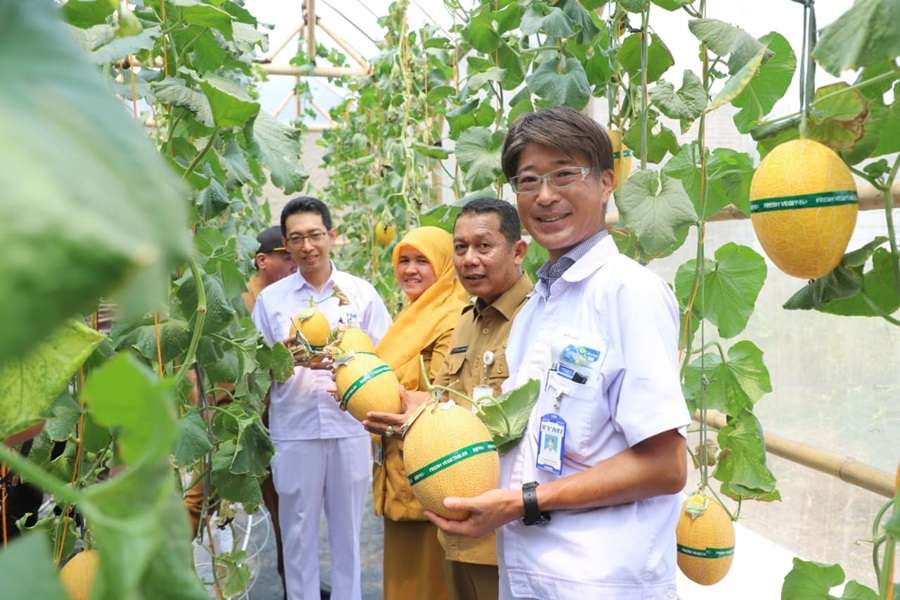 Bangun Green House Melon Premium, CSR Yutaka Buka Peluang Ekonomi Warga